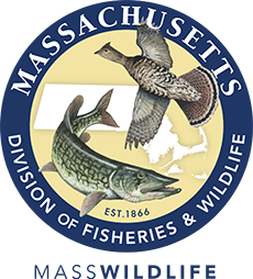 massachsuetts division of fish and wildlife logo